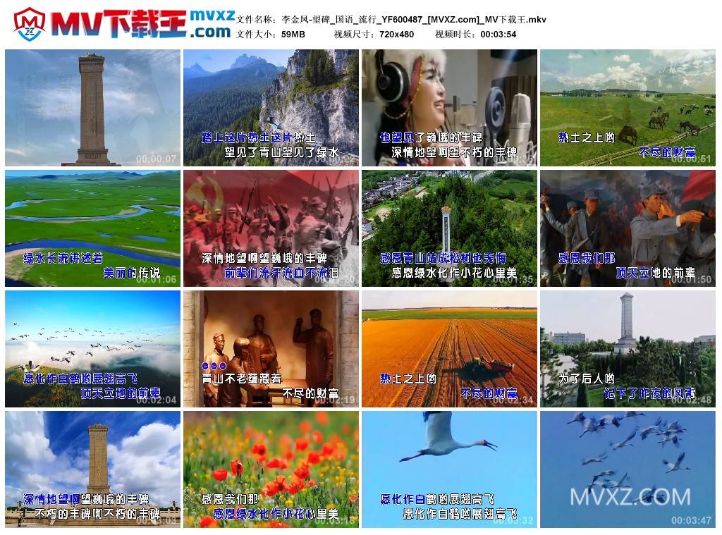 李金凤-望碑_国语_流行_YF600487